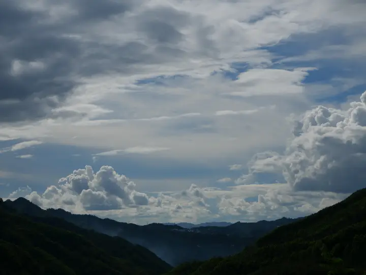 P1110148.JPG