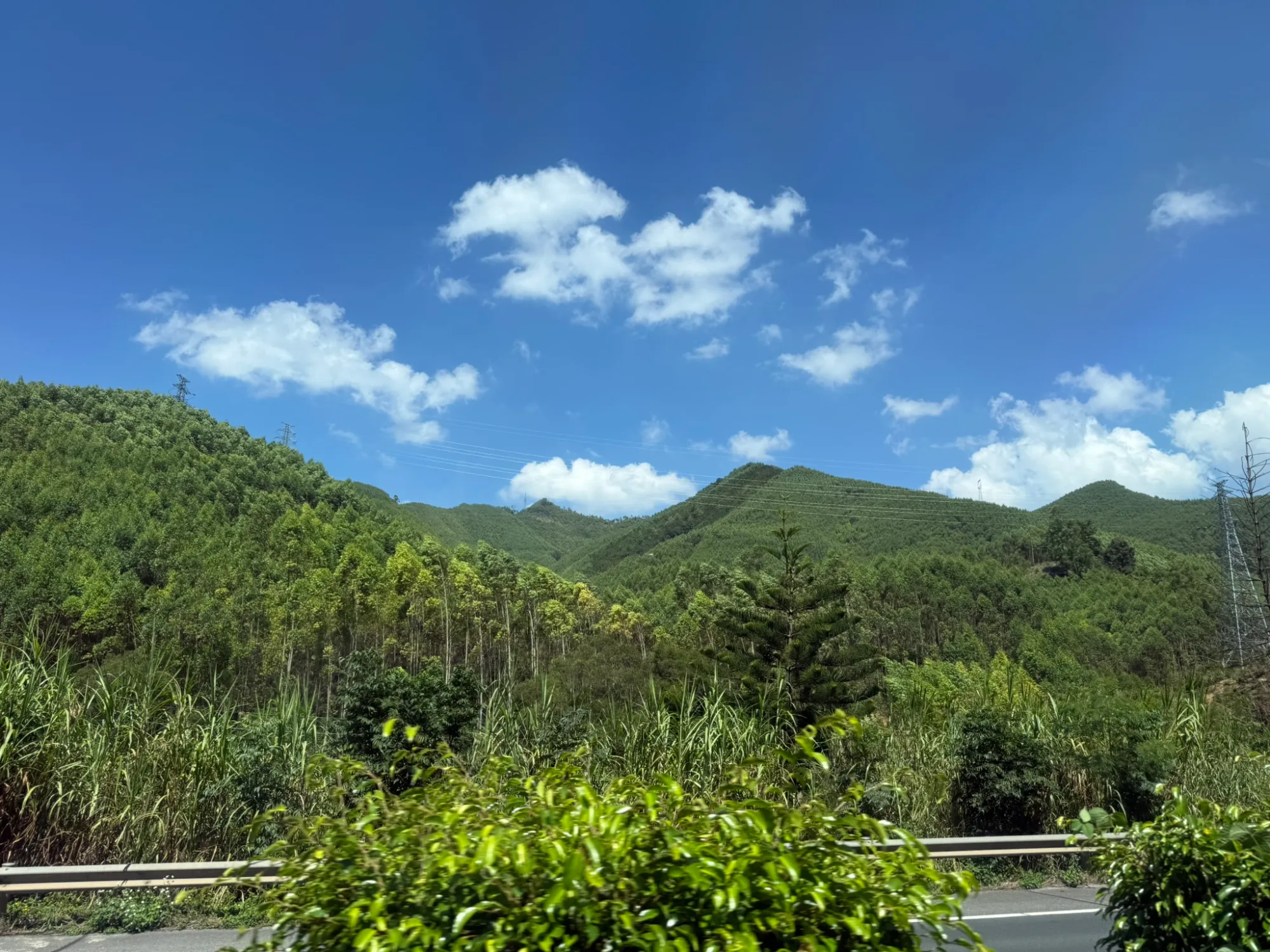108994B0-3E0F-4280-A865-D4AA8AD9D8F0_1_102_o.jpeg